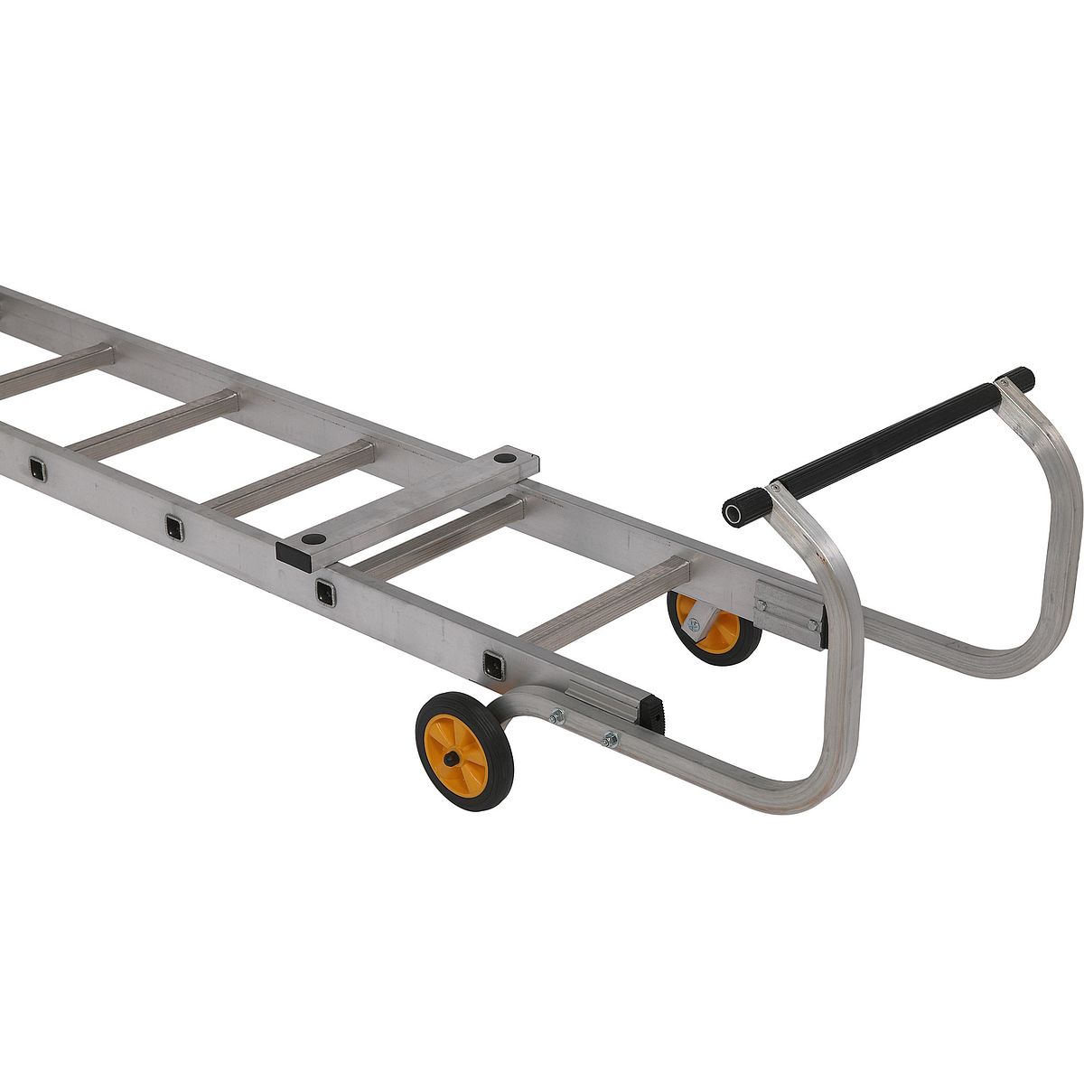 Werner single section ladder