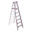 P376 Stepladders | - Werner Asia P376 Stepladders | - Werner Asia