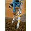 D1820-2EQ Extension Ladders | - Werner Asia D1820-2EQ Extension Ladders | - Werner Asia