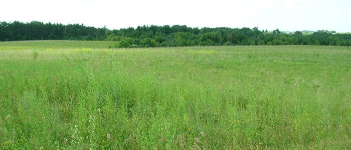 kinnickinicheadwaters.jpg