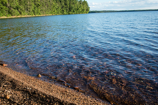 Photo of a clear Wisconsin lake