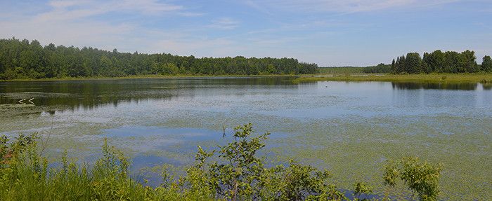 haycreek_hoffmanlake.jpg