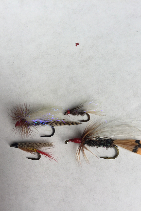 Several colorful trout flies arranged on a white background