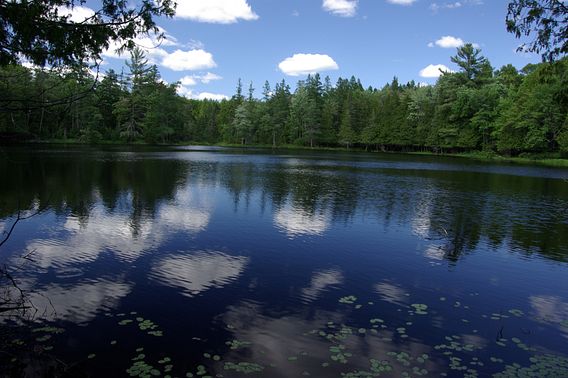Mary Lake State Natural Area