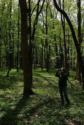 woman looks through binoculars in woods