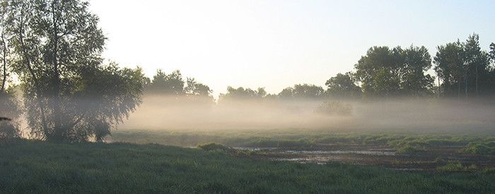 Colburn Wildlife Area Wisconsin DNR