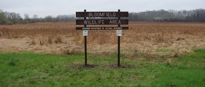 bloomfield.jpg