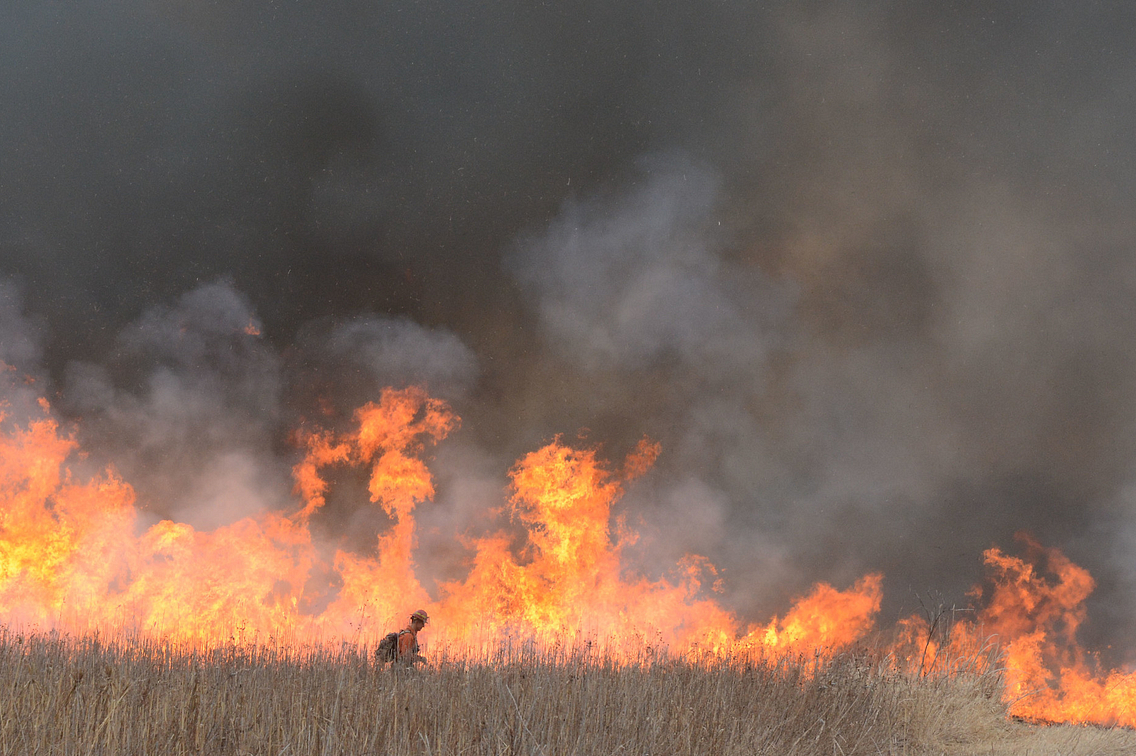 Wildlife biologist tending a large prescribed burn in a prairie area