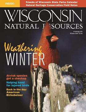 cover of Winter 2019 issue of WNR magazine