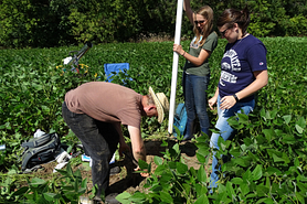 A man and two women installing a monitoring well in a wetland setting