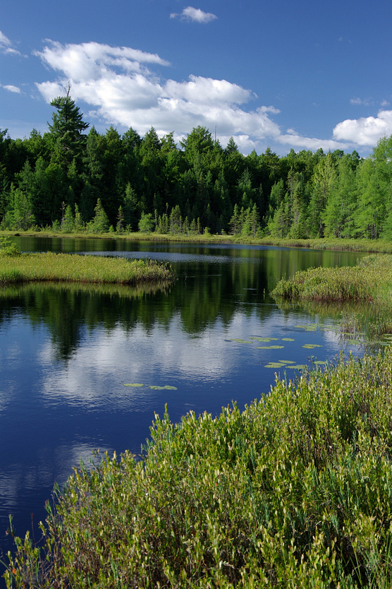 Photo of quiet northern Wisconsin lake