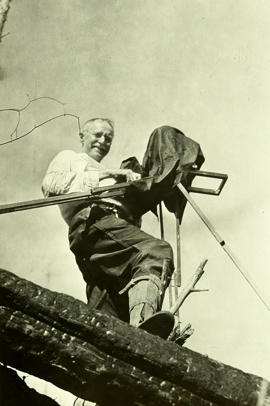 Old photo of man with camera standing in a tree