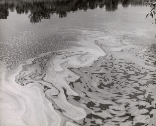 sudsy film on the river