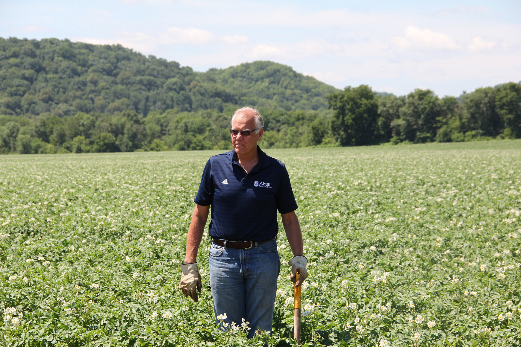 Photo of man standing in field of potato plants