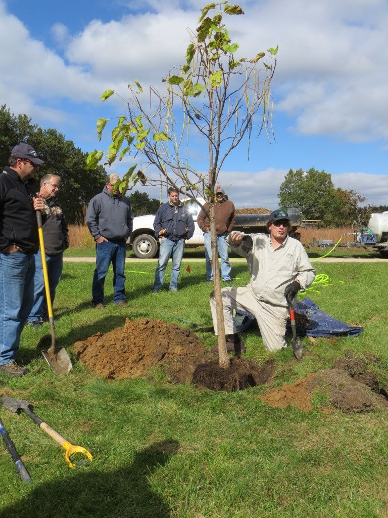 2016_GradCTMI_Planting_catalpa