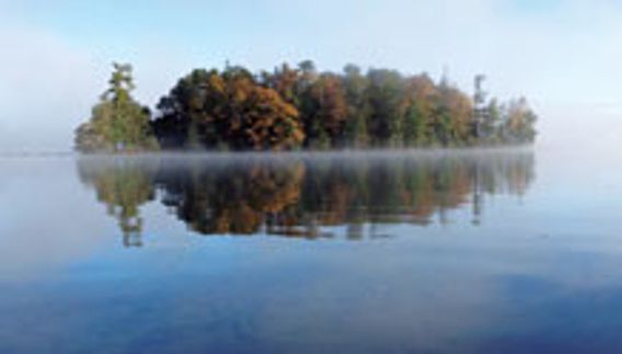 lake island area in fall