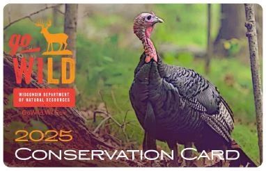 Go Wild Conservation Card front