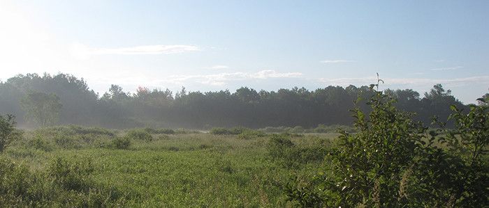 McMillanMarsh_700x299.JPG