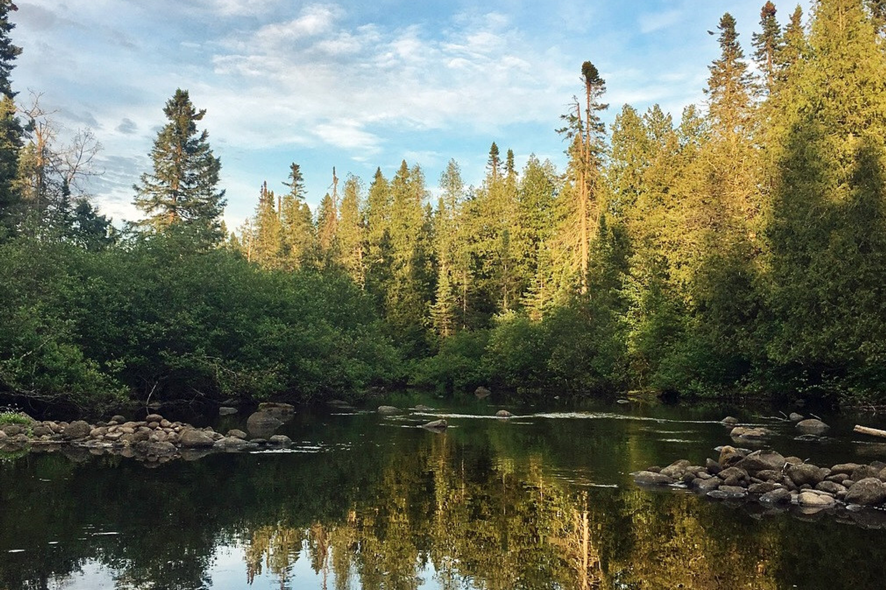 Peaceful summer photo of Brule River water reflecting blue sky and pine trees on its banks