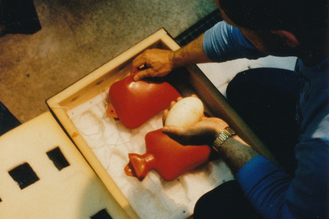 Man holding large egg which he is placing between two red hot water bottles in a box