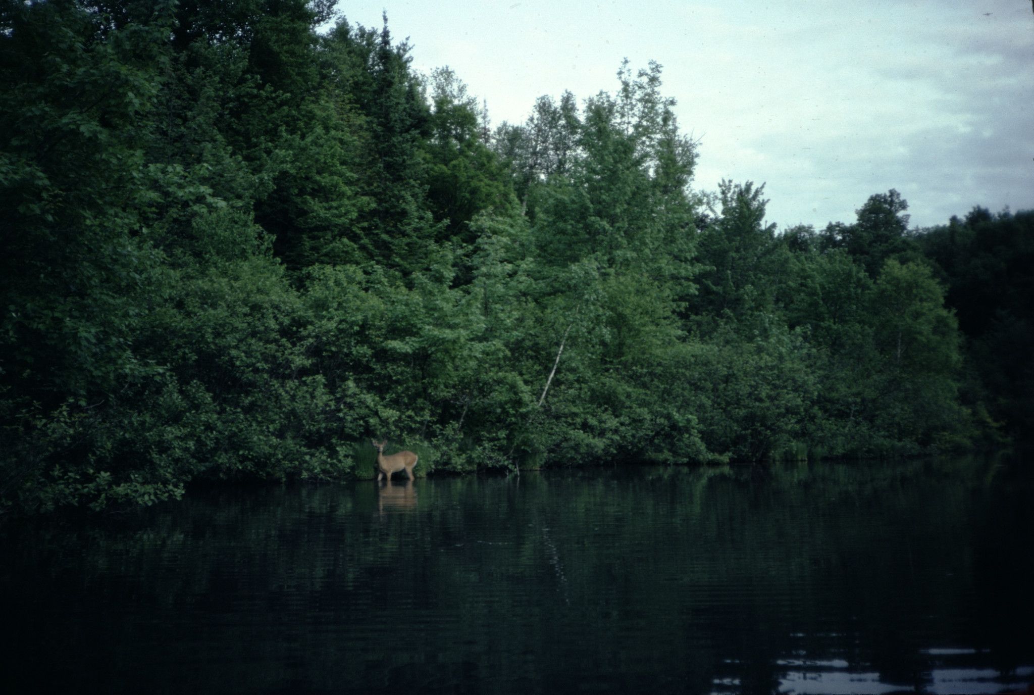Don_Blegen_0253
