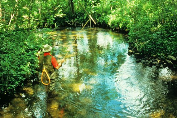 man fly fishing by stream