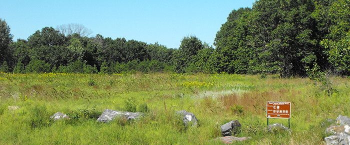 WestTaylor_700x291.jpg