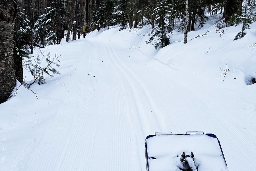 Cross-country ski trails are in good to excellent condition across northern Wisconsin, including these recently groomed trails at Pattison State Park. - Photo credit: DNR