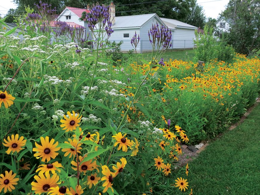 colorful native flowers growing near a farmhouse