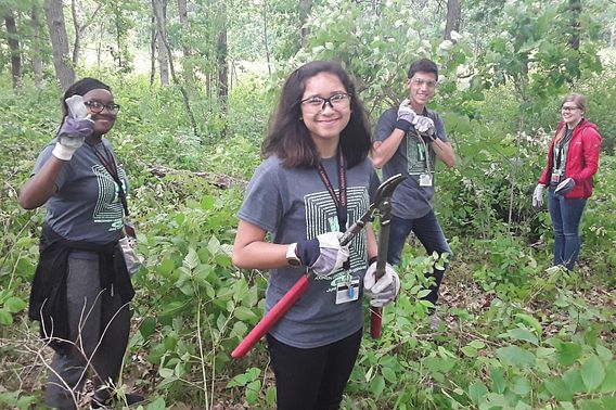 four young people doing pruning in a woody area