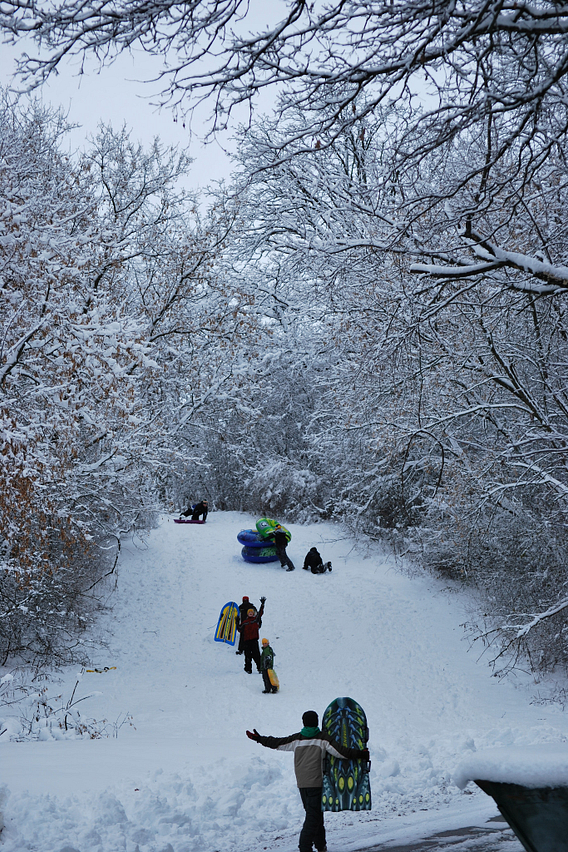 Several people sledding on a snow-covered hill