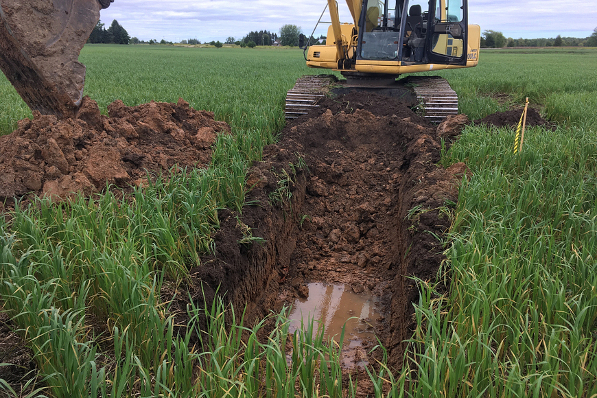 Yellow bulldozer in green marshy area digging up dirt