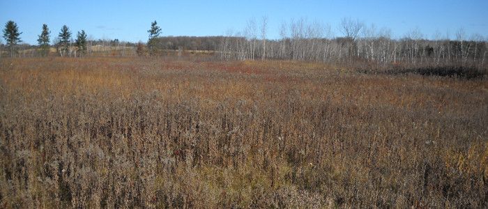 Barker Creek Extensive Wildlife Habitat Area Wisconsin DNR