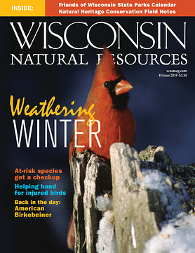 Wisconsin Natural Resources magazine Winter 2019 cover