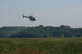 helicopter sprays at Theresa Marsh