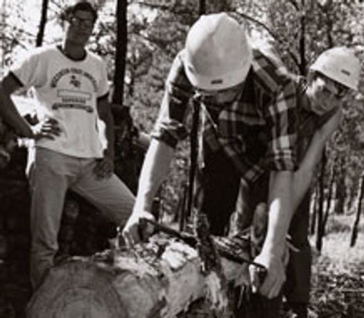members of youth corps working outdoors