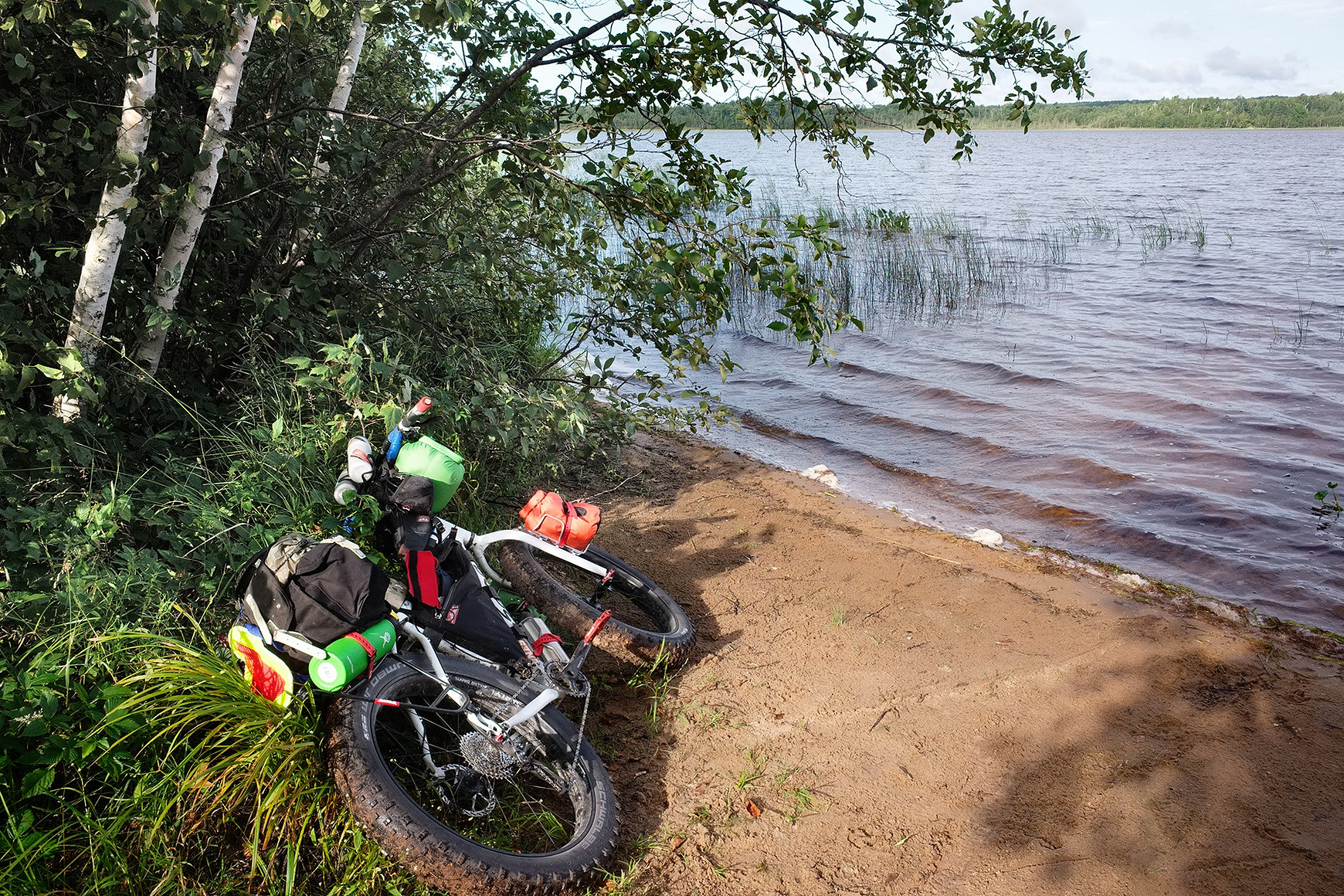 A fat-tire bike laying near the shore of a lake