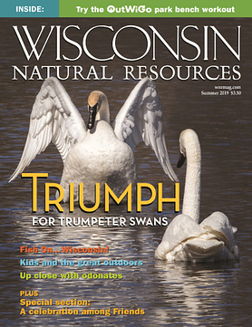 Wisconsin Natural Resources magazine Summer 2019 Cover