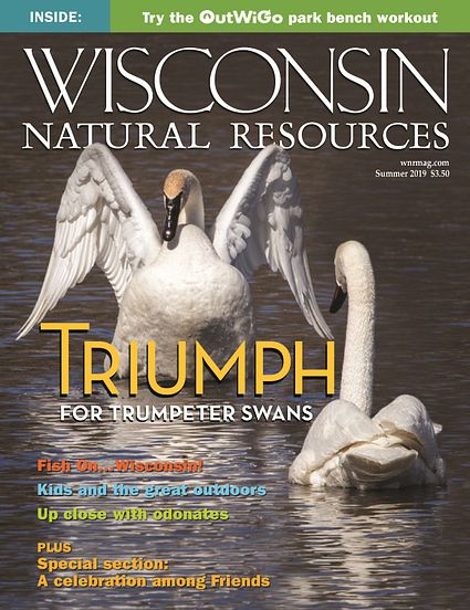 WNR magazine Summer 2019 cover with trumpeter swan