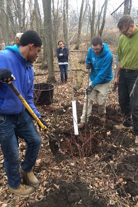 three people planting a tree in the woods