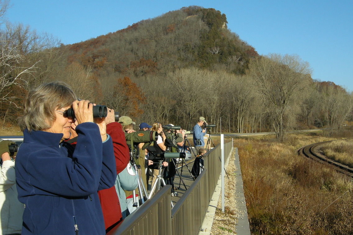 Group of people with binoculars and spotting scopes looking off in the distance 