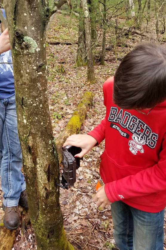 A young boy in red sweatshirt attaching a camera to a tree in the forest