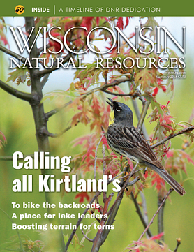 Wisconsin Natural Resources magazine Summer 2018 cover