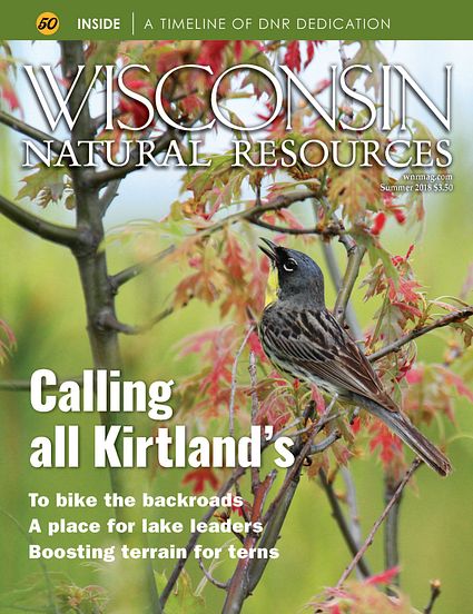 Summer 2018 WNR magazine cover with Kirtland's warbler