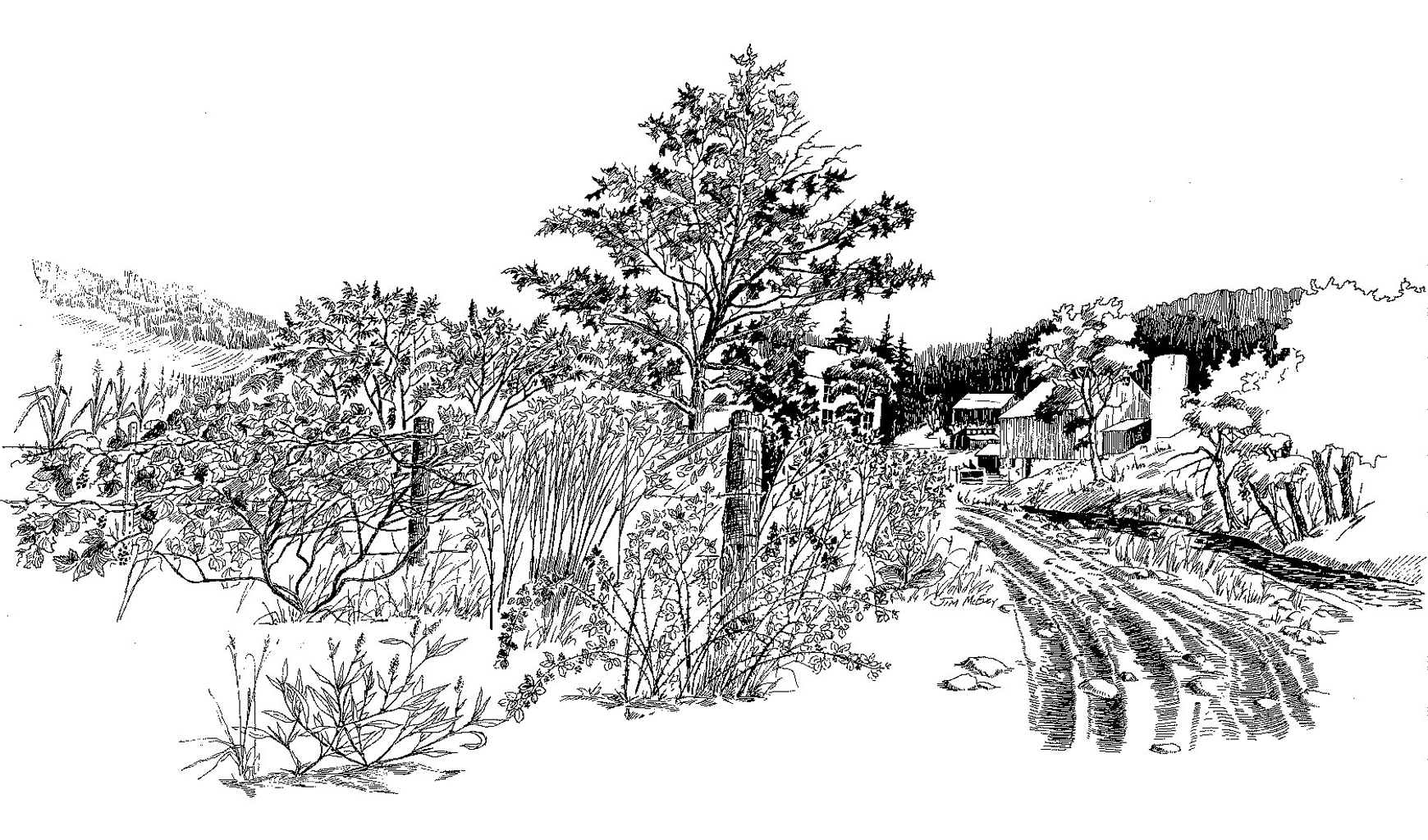 black and white drawing of a rural farm scene