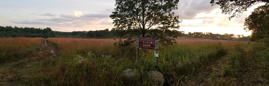 wide view of open field at Lawrence Creek SNA