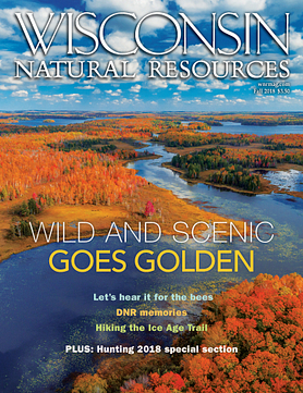 Wisconsin Natural Resources magazine Fall 2018 cover