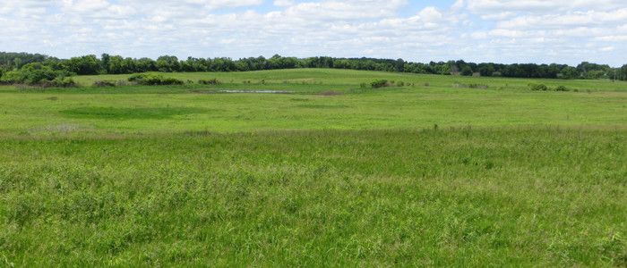 Johnson Wildlife Area | Wisconsin DNR