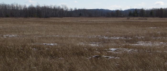 Wood County Wildlife Area Wisconsin Dnr