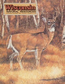 1980 WNR magazine cover with buck image